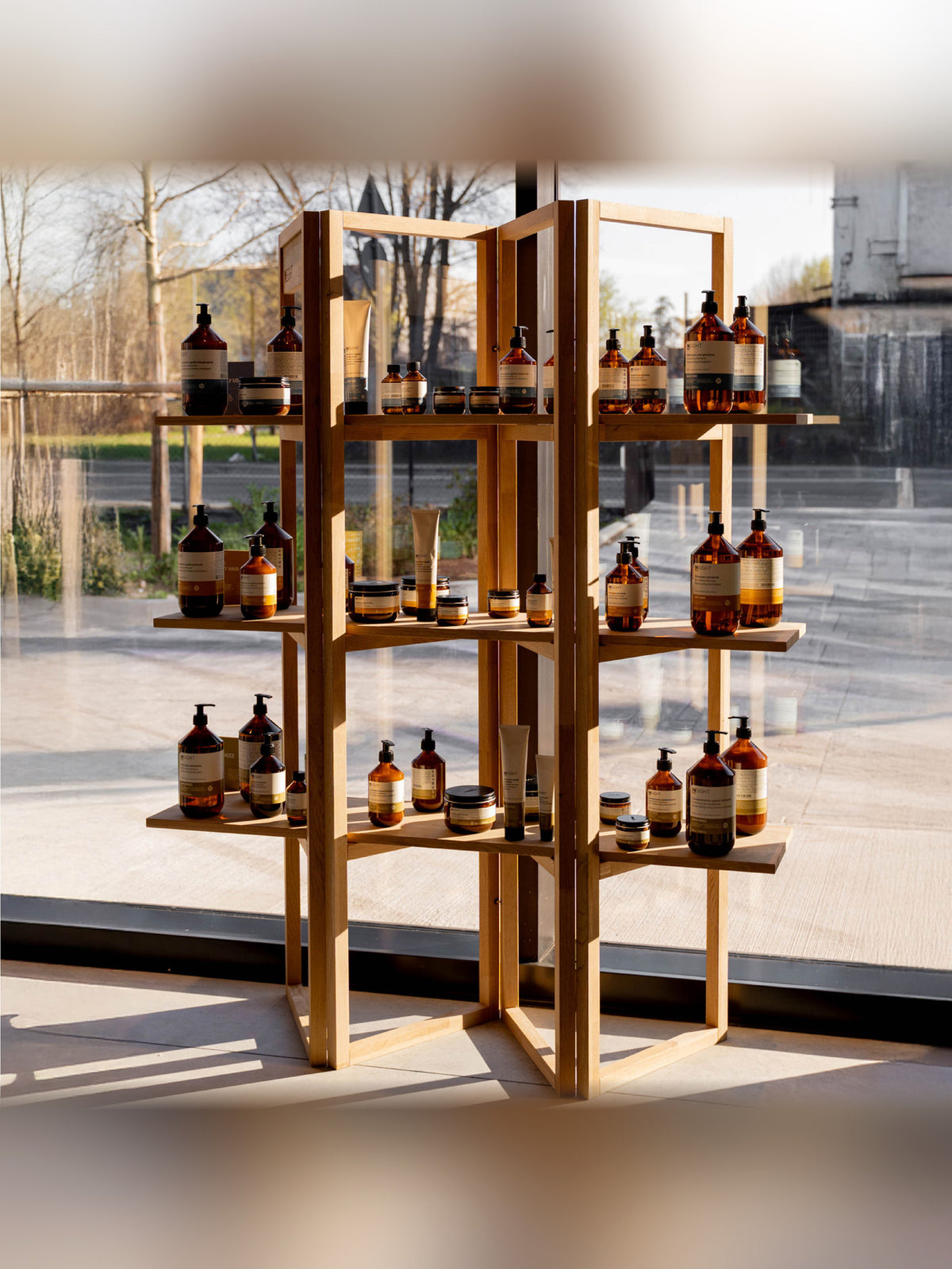 Insight Regal aus Holz im Salon